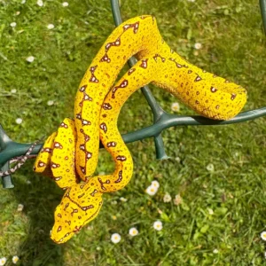 UKCBB Yellow Neo